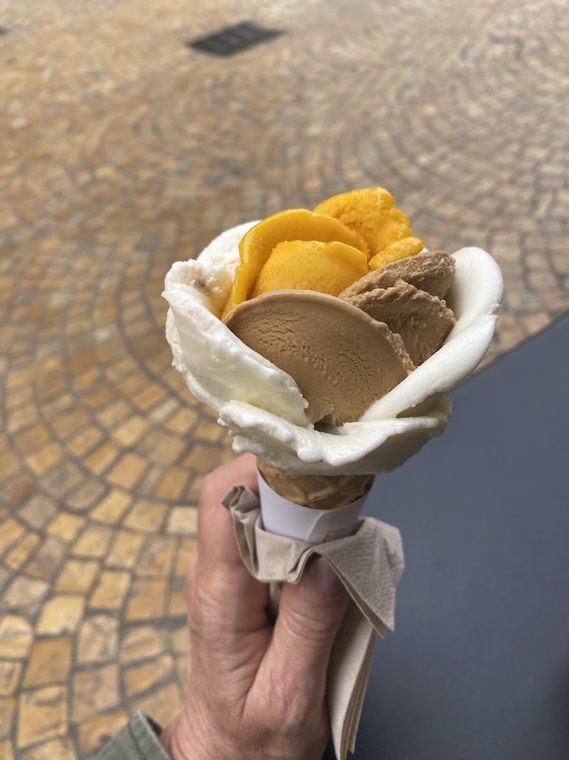 Amorino Gelato - Aix Foch - Photo 3
