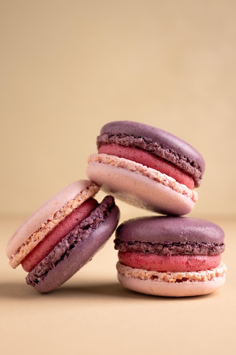 Amorino Gelato - Aix Foch - Photo 7