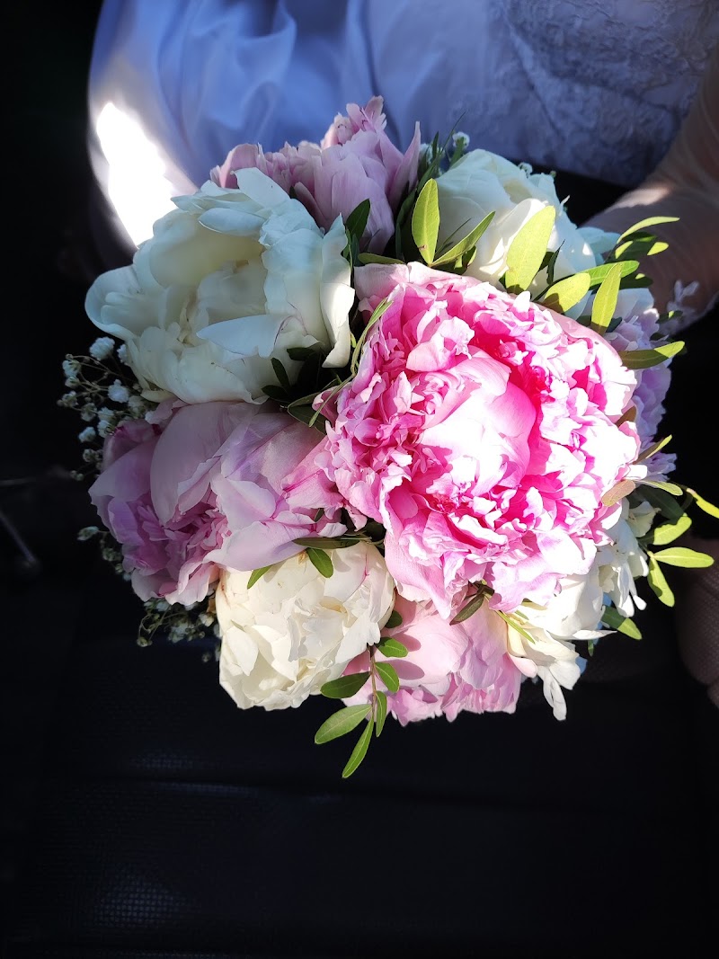 Armand Traiteur - Photo 4