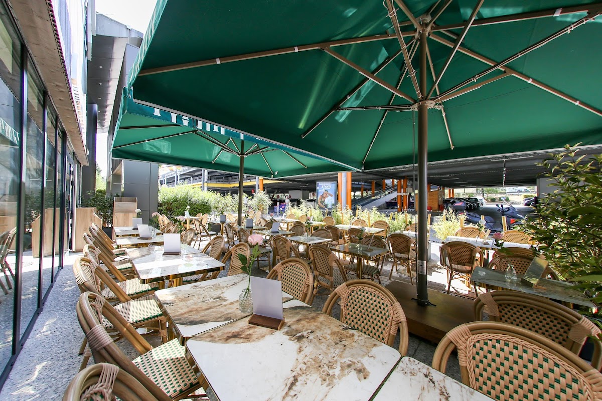 Bamboudore - Photo 6