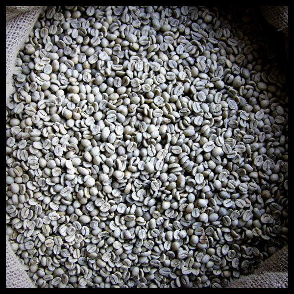 Cafés Montaiguet Moka - Photo 8