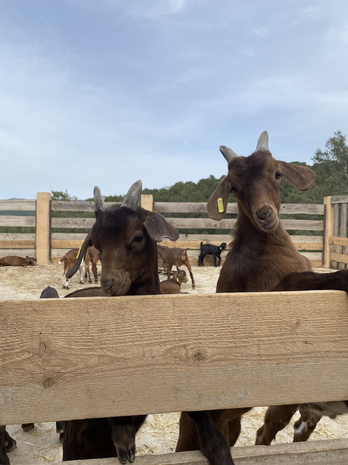 Château des Trois Sautets - Photo 2