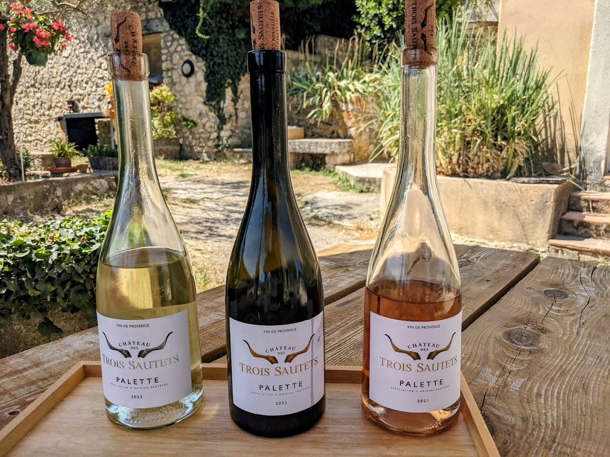 Château des Trois Sautets - Photo 4