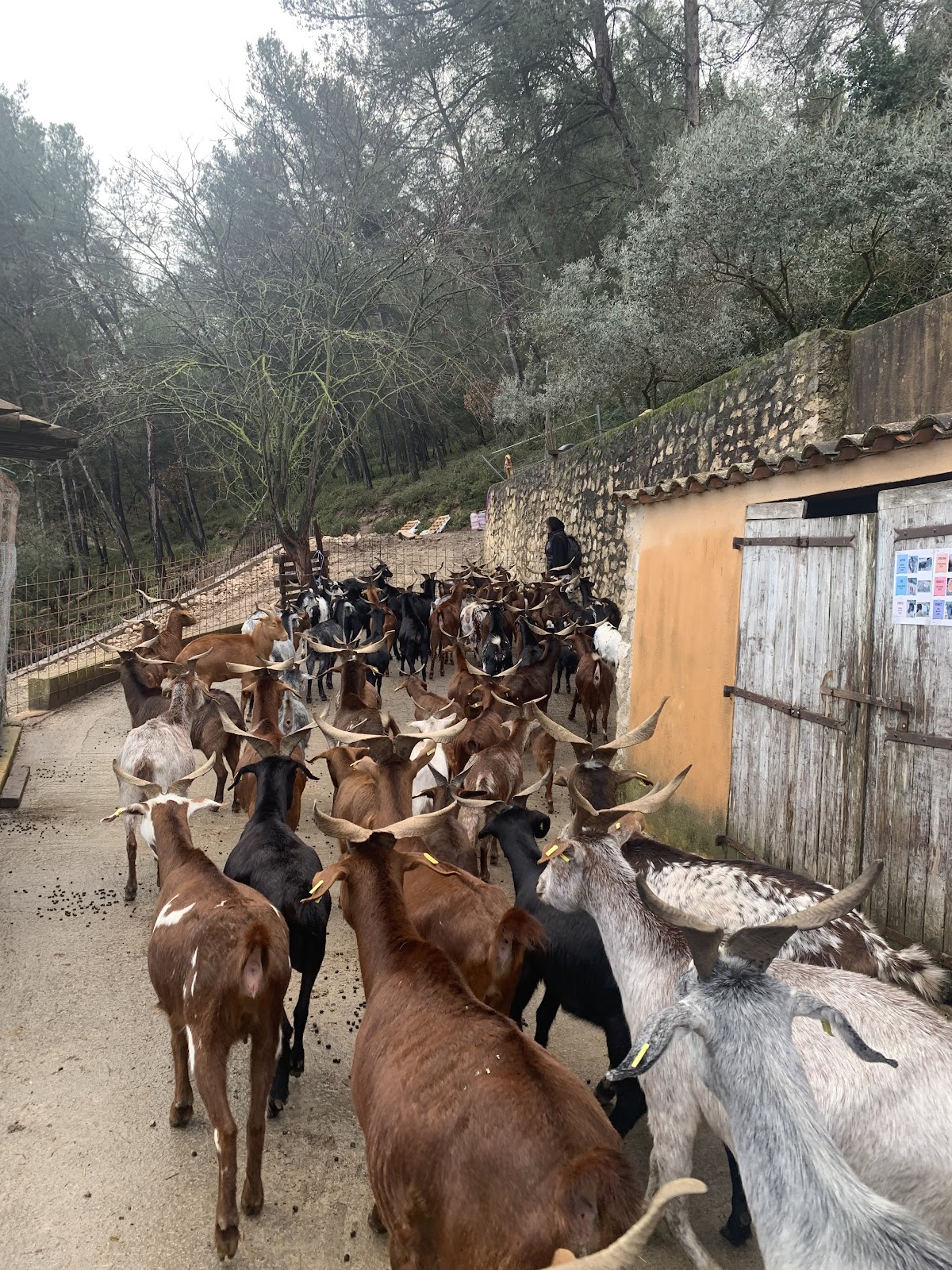 Château des Trois Sautets - Photo 7