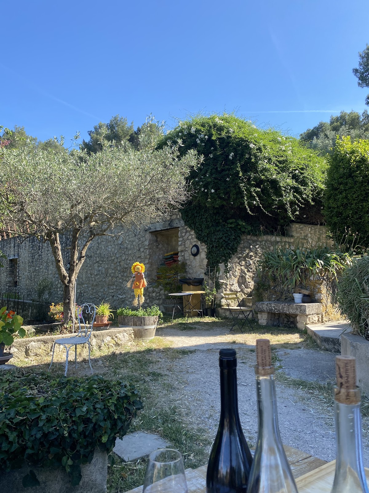 Château des Trois Sautets - Photo 8