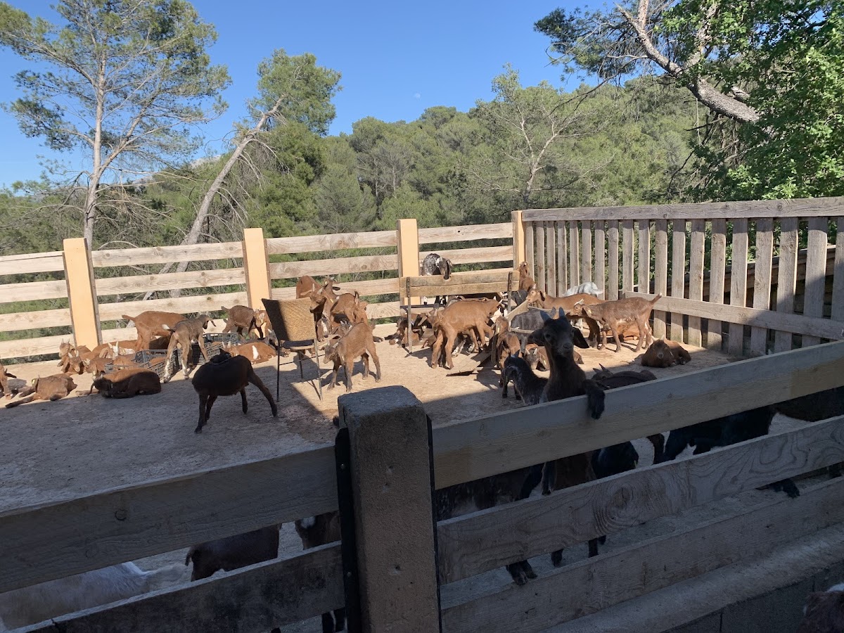 Château des Trois Sautets - Photo 9
