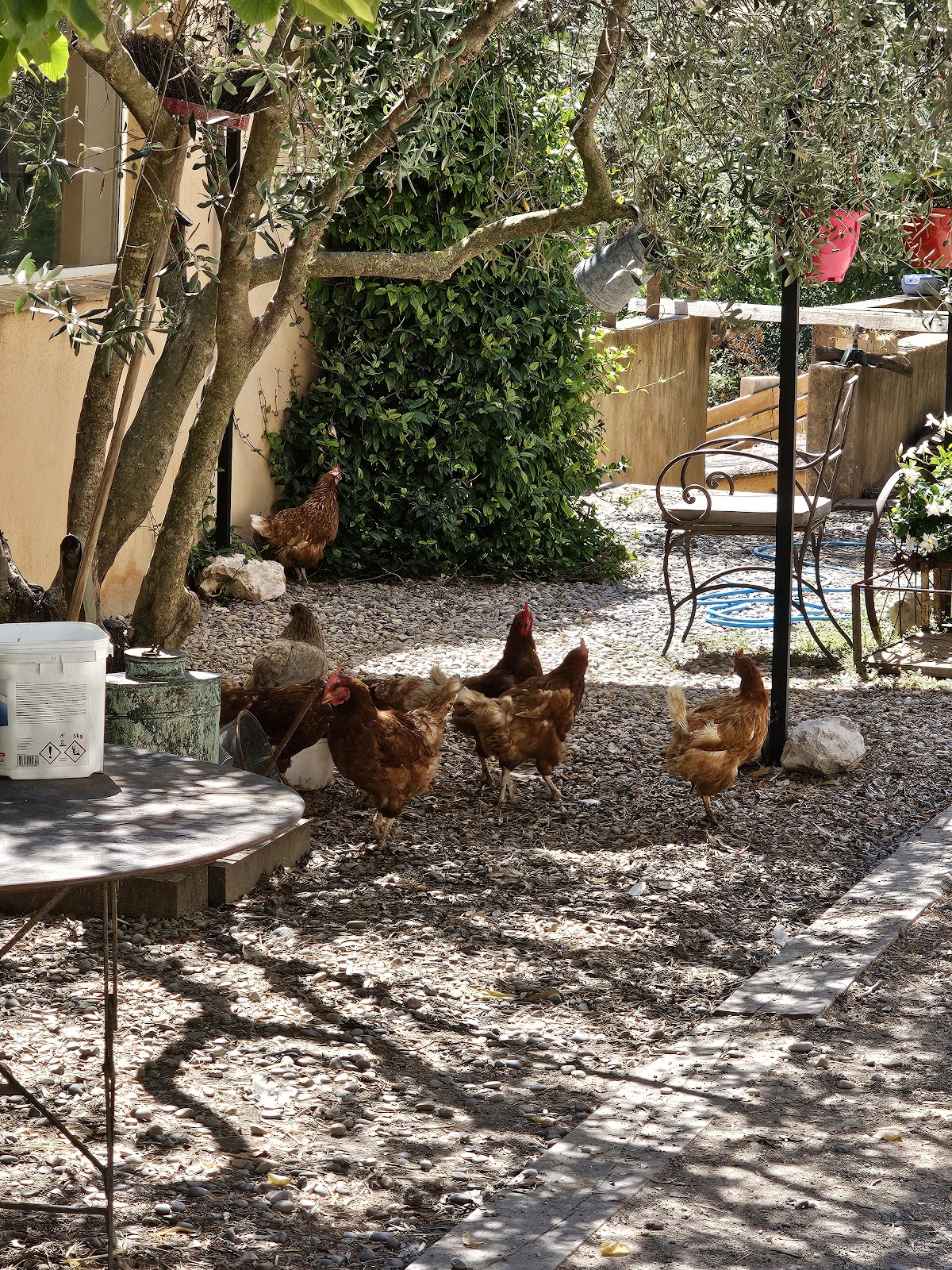 Château des Trois Sautets - Photo 10