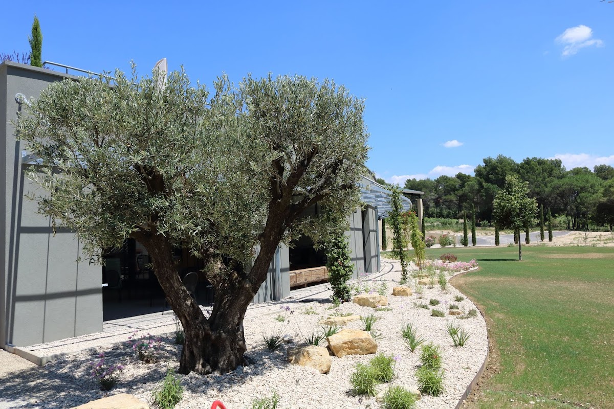 Château du Seuil Vins Coteaux Aix-en-Provence Domaine Viticole Vignoble - Photo 5