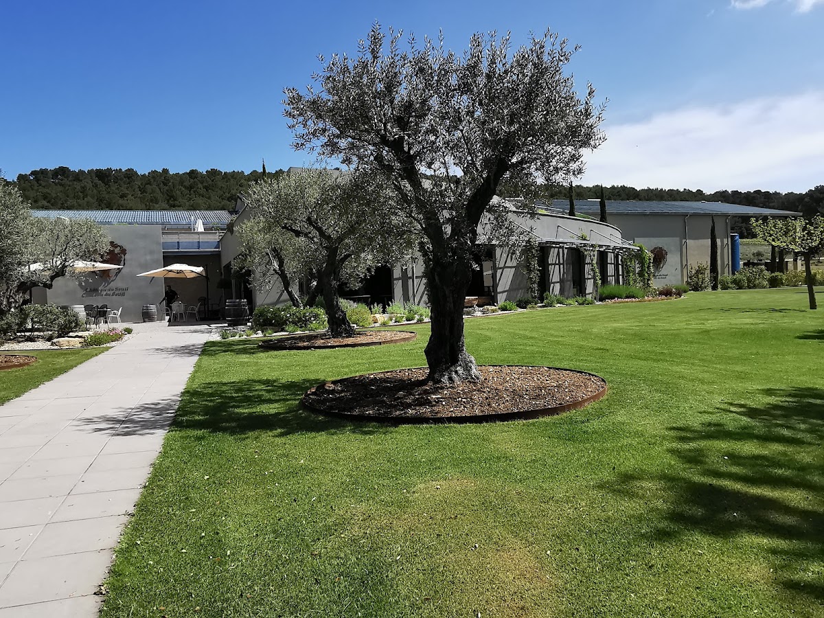 Château du Seuil Vins Coteaux Aix-en-Provence Domaine Viticole Vignoble - Photo 7