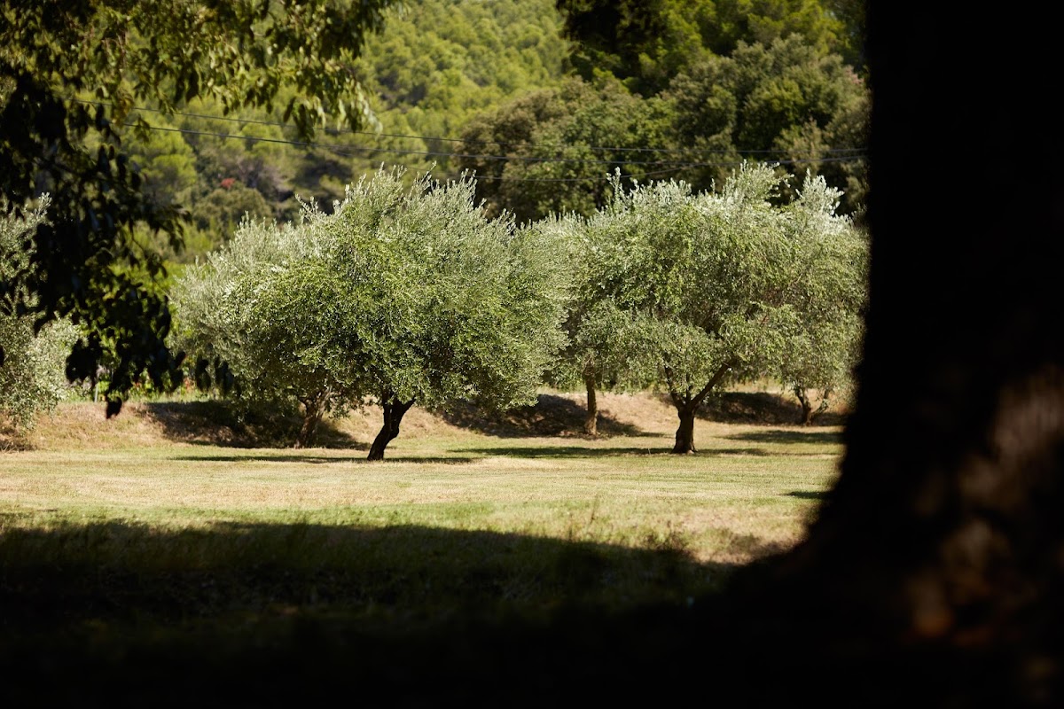 Château du Seuil Vins Coteaux Aix-en-Provence Domaine Viticole Vignoble