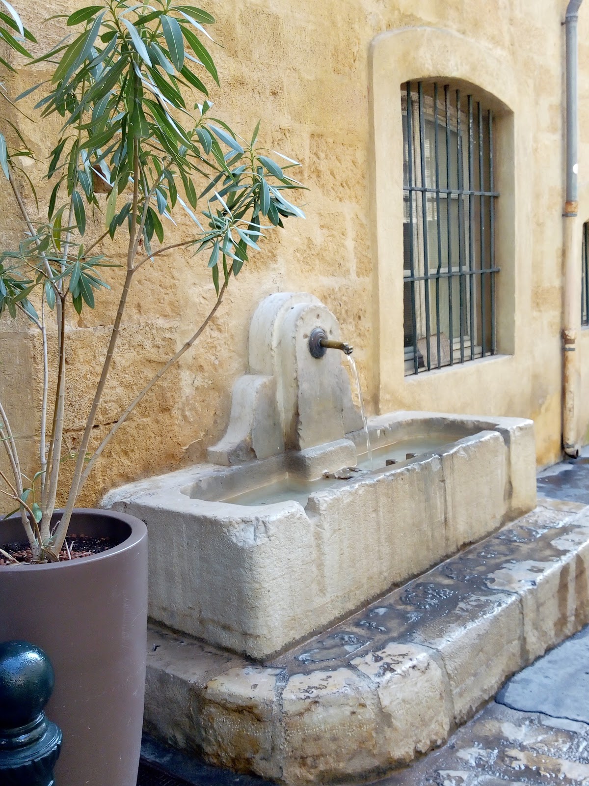 Chez Féraud - Photo 4