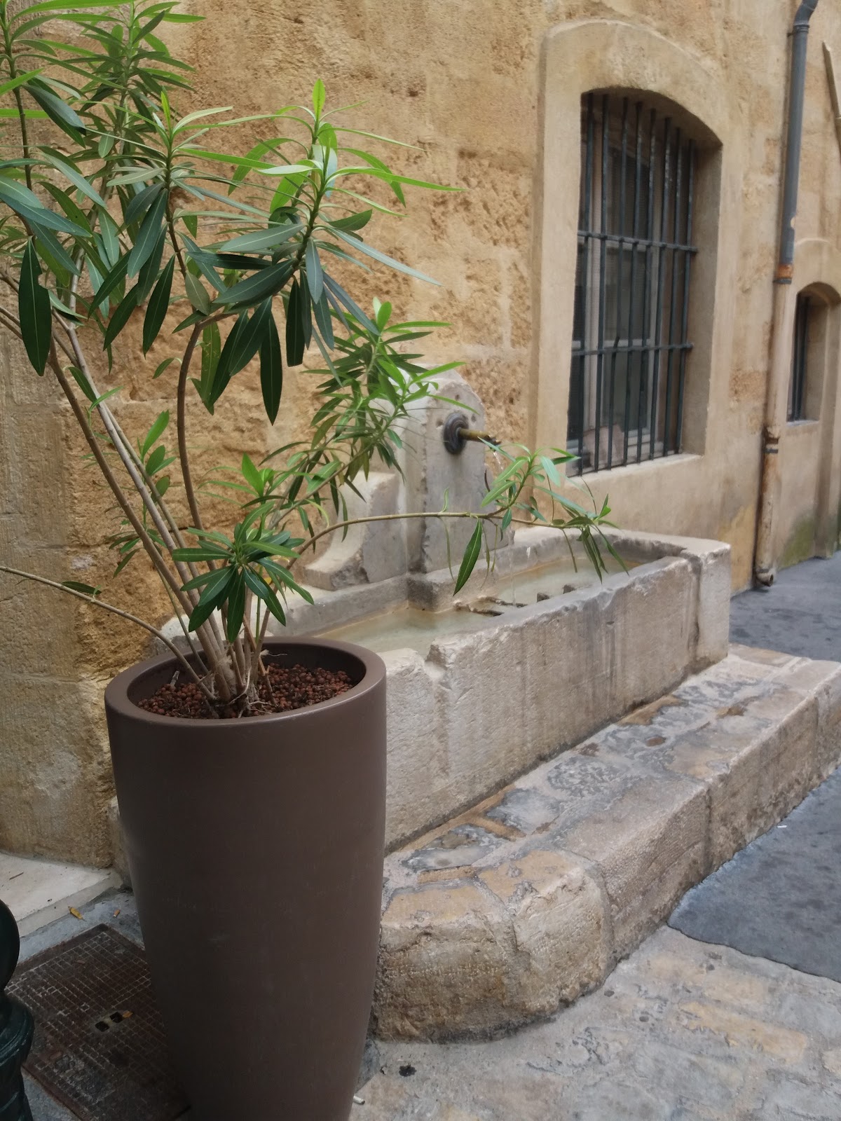 Chez Féraud - Photo 9