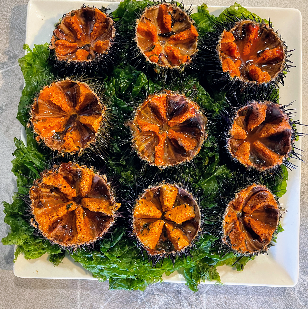 Coquillages du Roy René - Photo 5