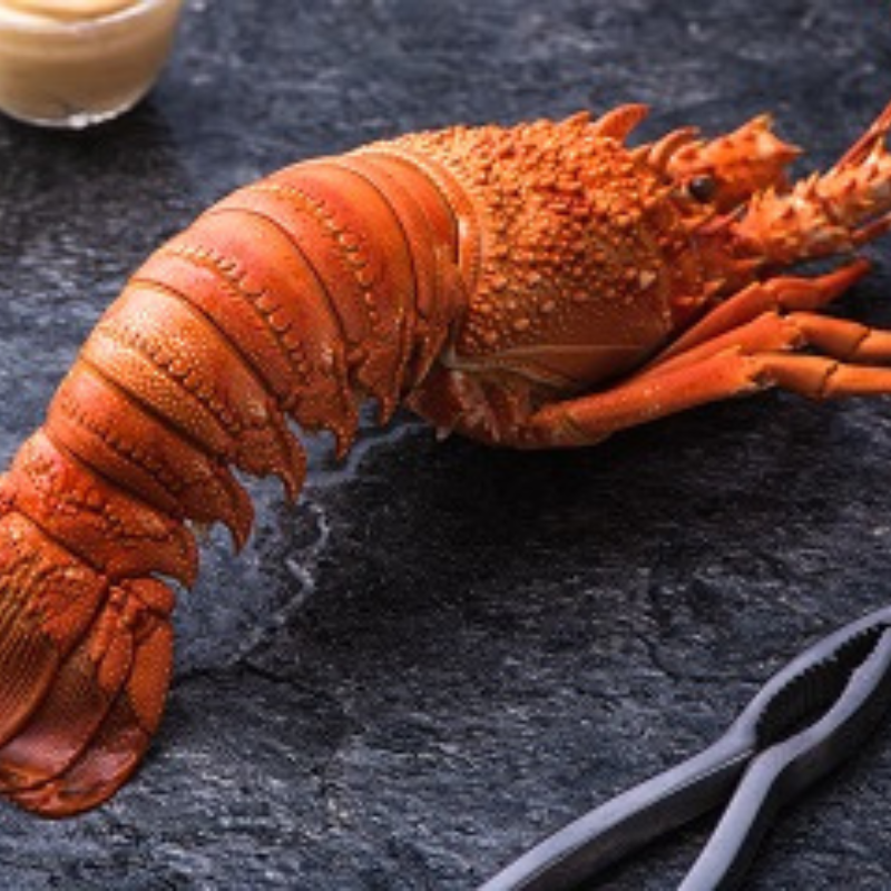 Coquillages du Roy René - Photo 6