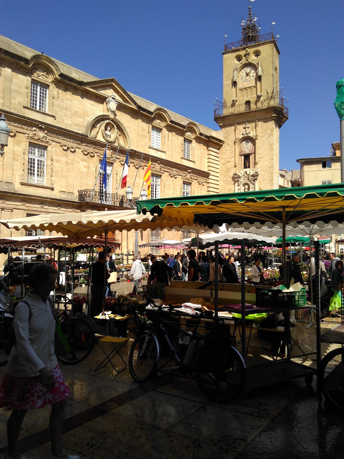 Ducs de Gascogne - Photo 2