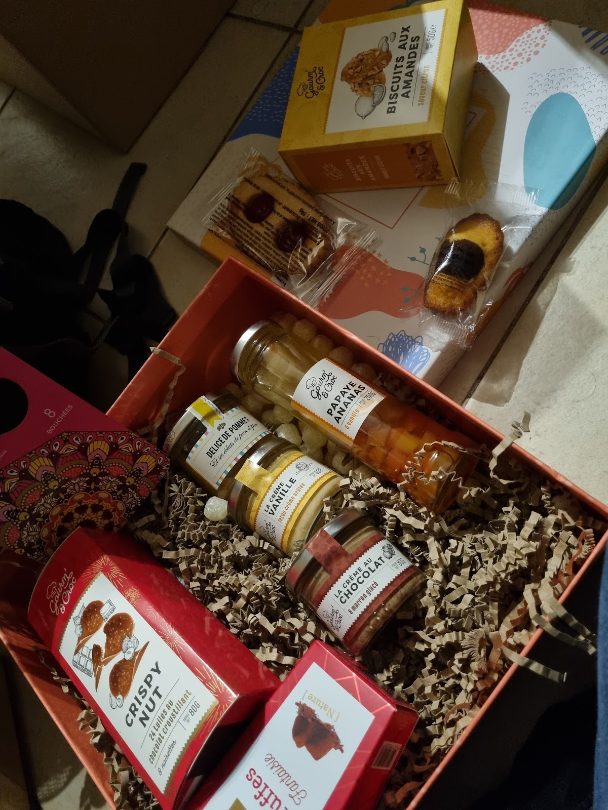 Ducs de Gascogne - Photo 4