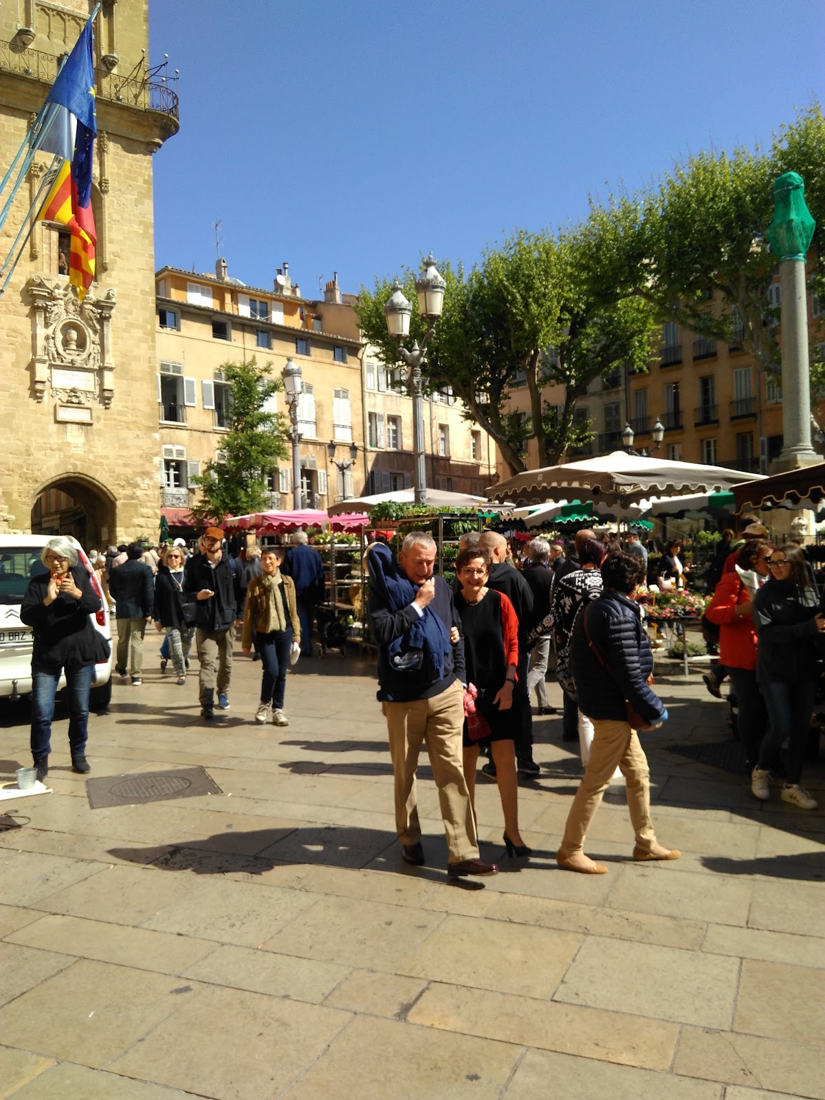 Ducs de Gascogne - Photo 6