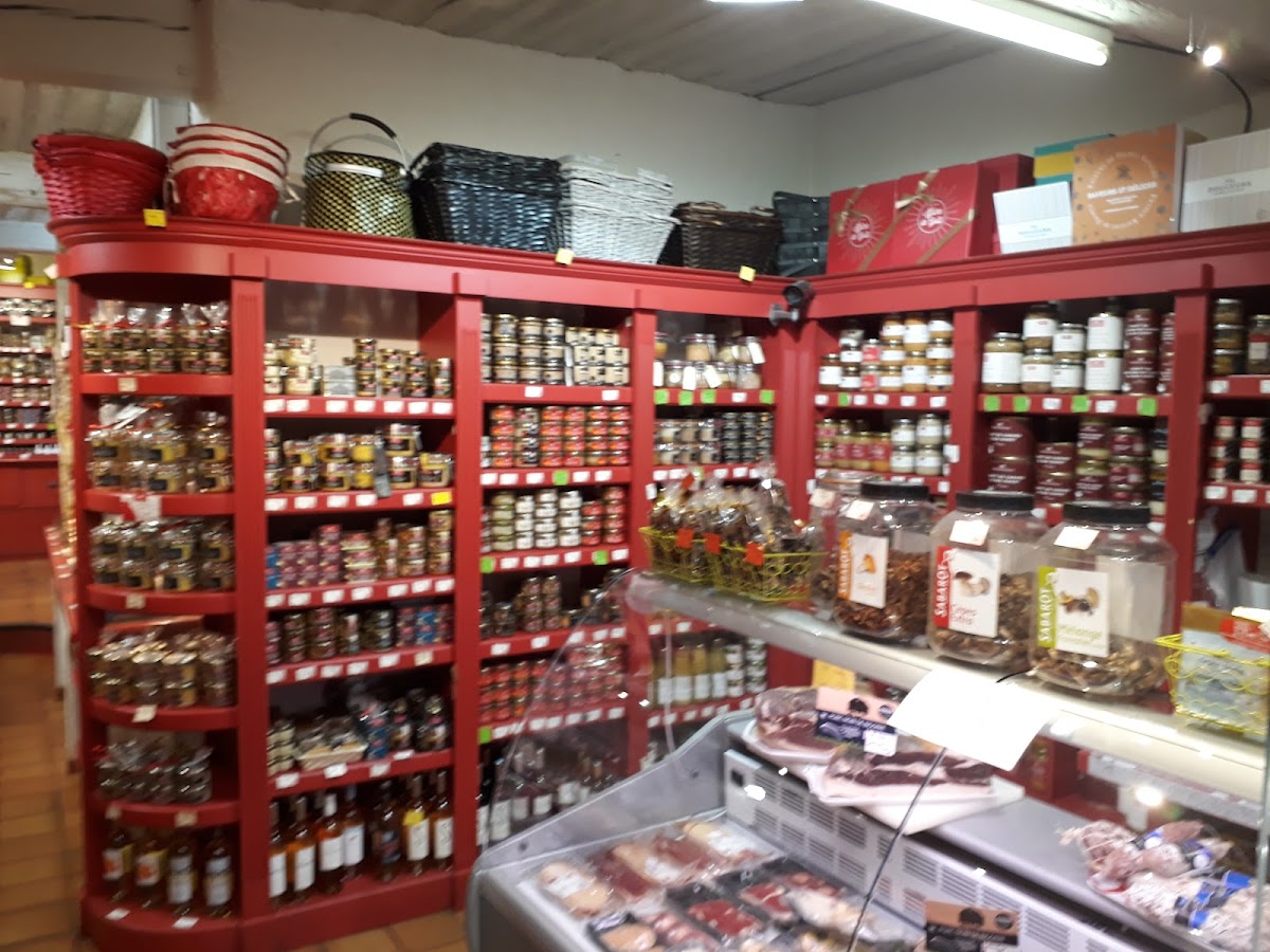 Ducs de Gascogne - Photo 10