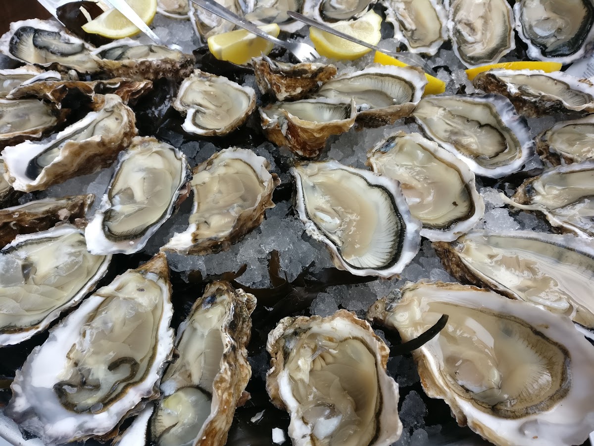 Entre Terre & Mer - Photo 3