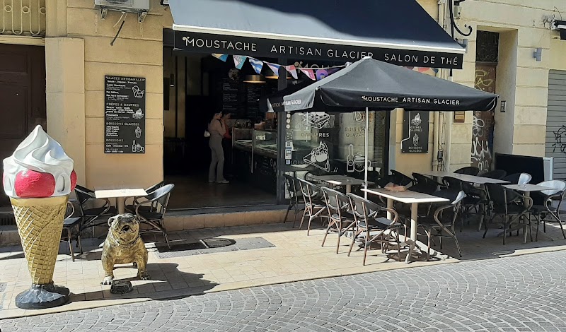 Glaces Moustache-Artisan Glacier