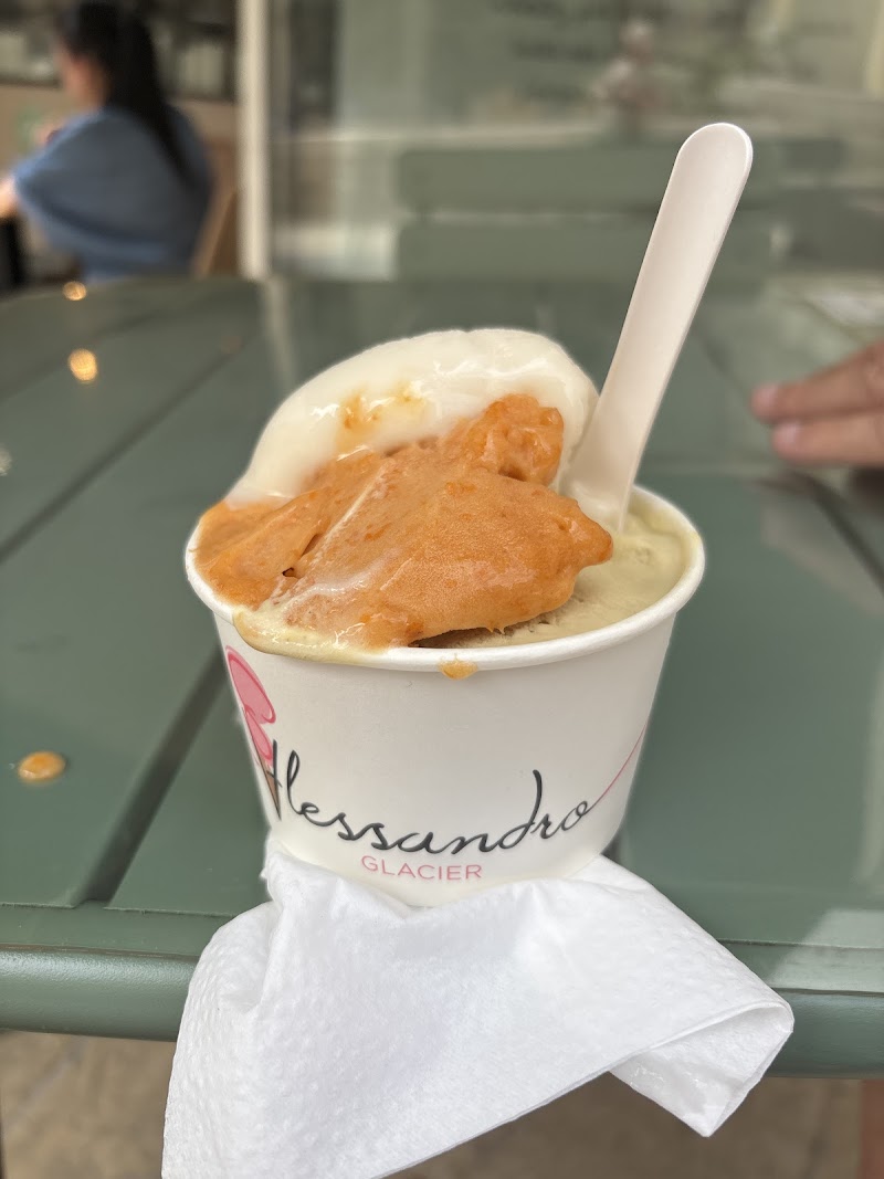 Glacier Alessandro - Photo 9