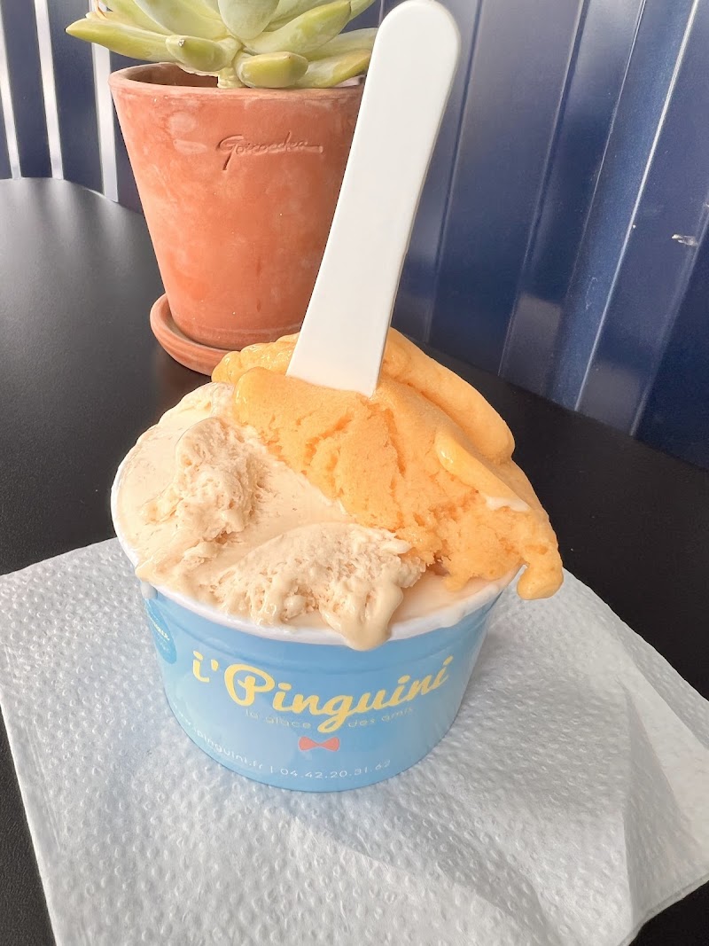 i'Pinguini Eguilles - Photo 3