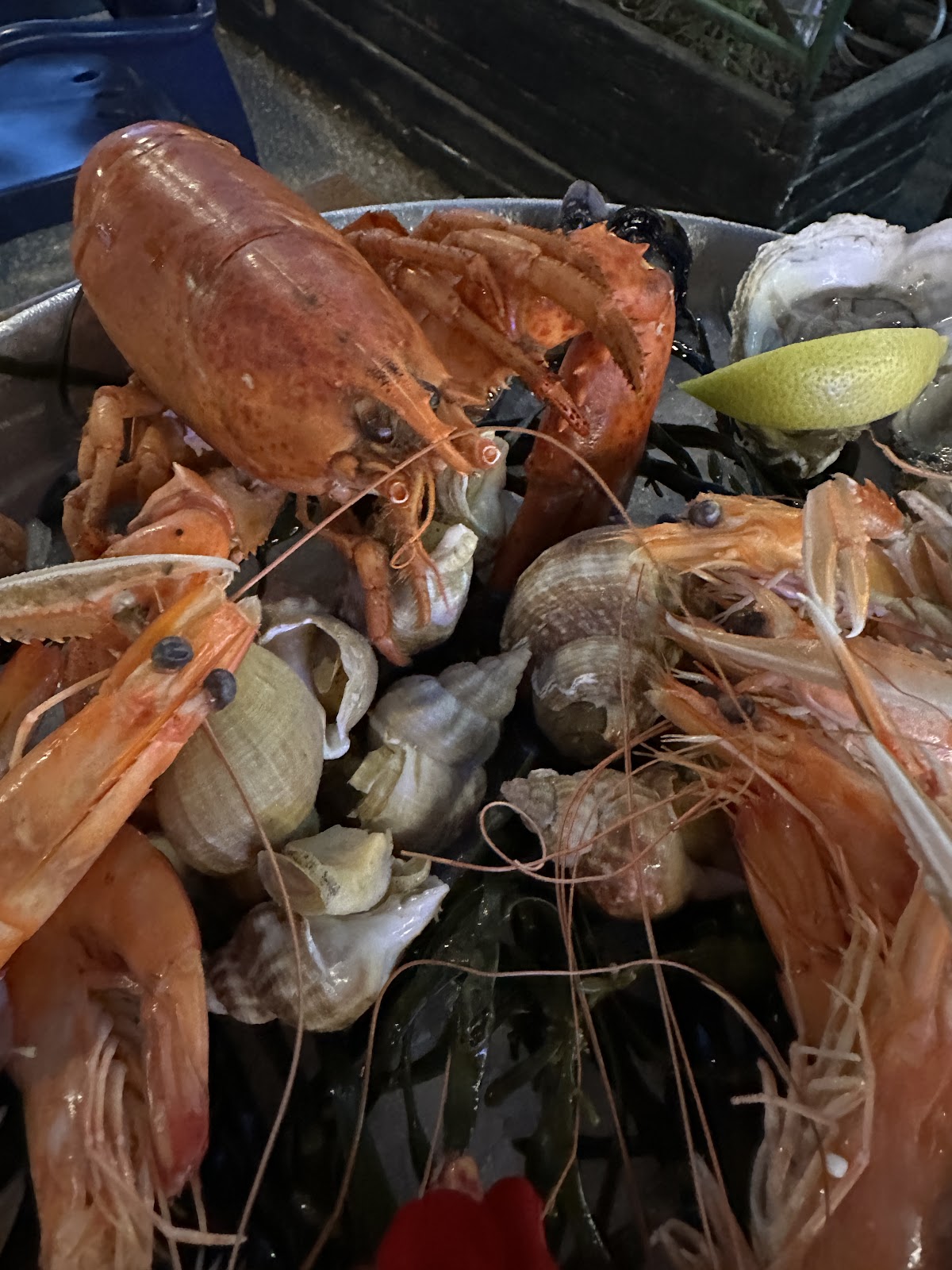 L'Eau à la Bouche Restaurant et poissonnerie du marché - Photo 8