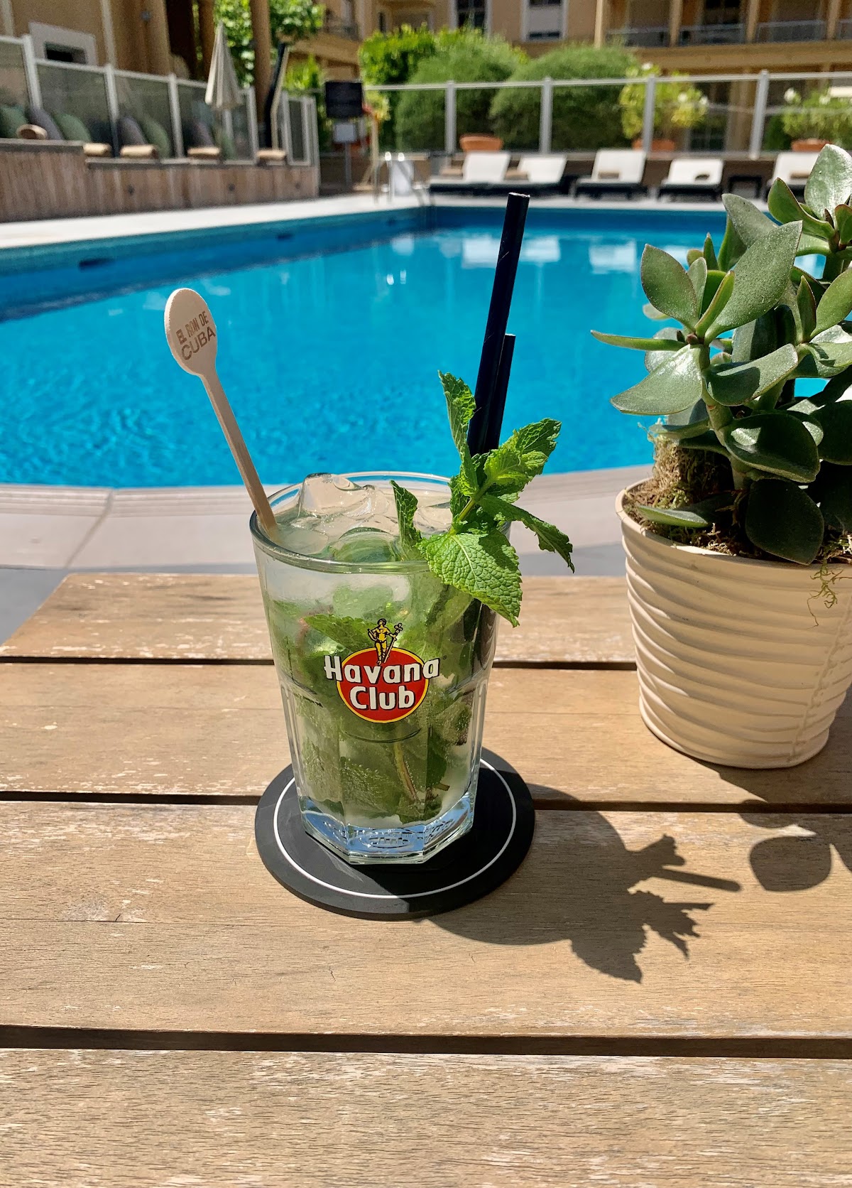 L'Intemporel - Photo 7