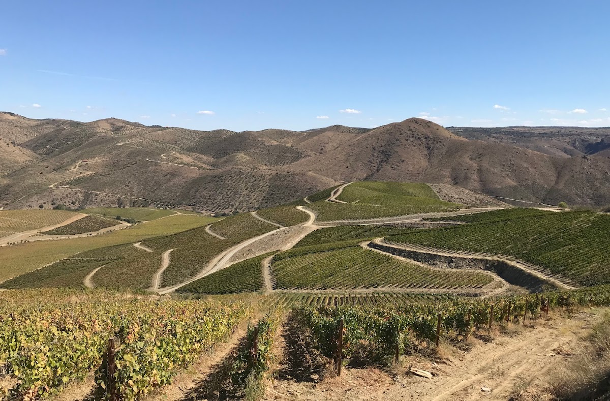 La Cave Mazarin - Photo 5