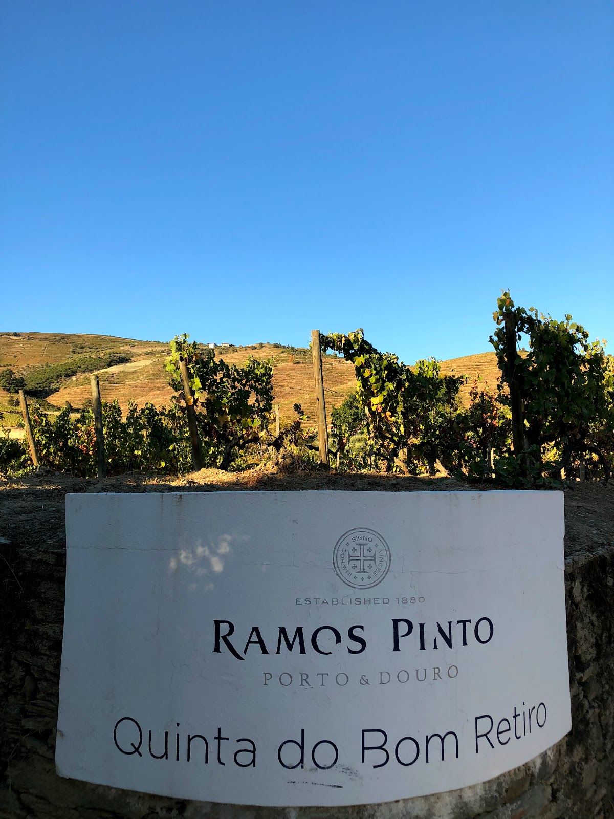 La Cave Mazarin - Photo 6