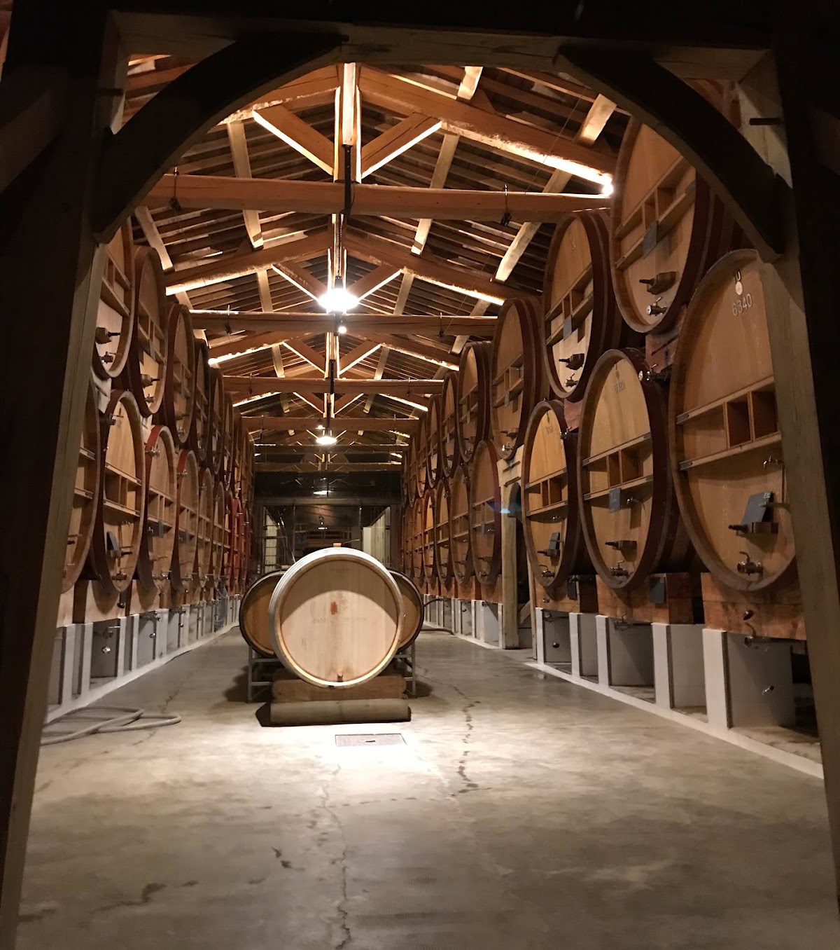 La Cave Mazarin - Photo 9