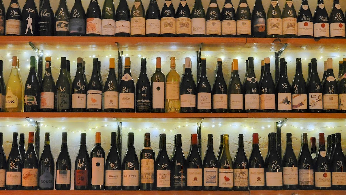 La méduse - Photo 3