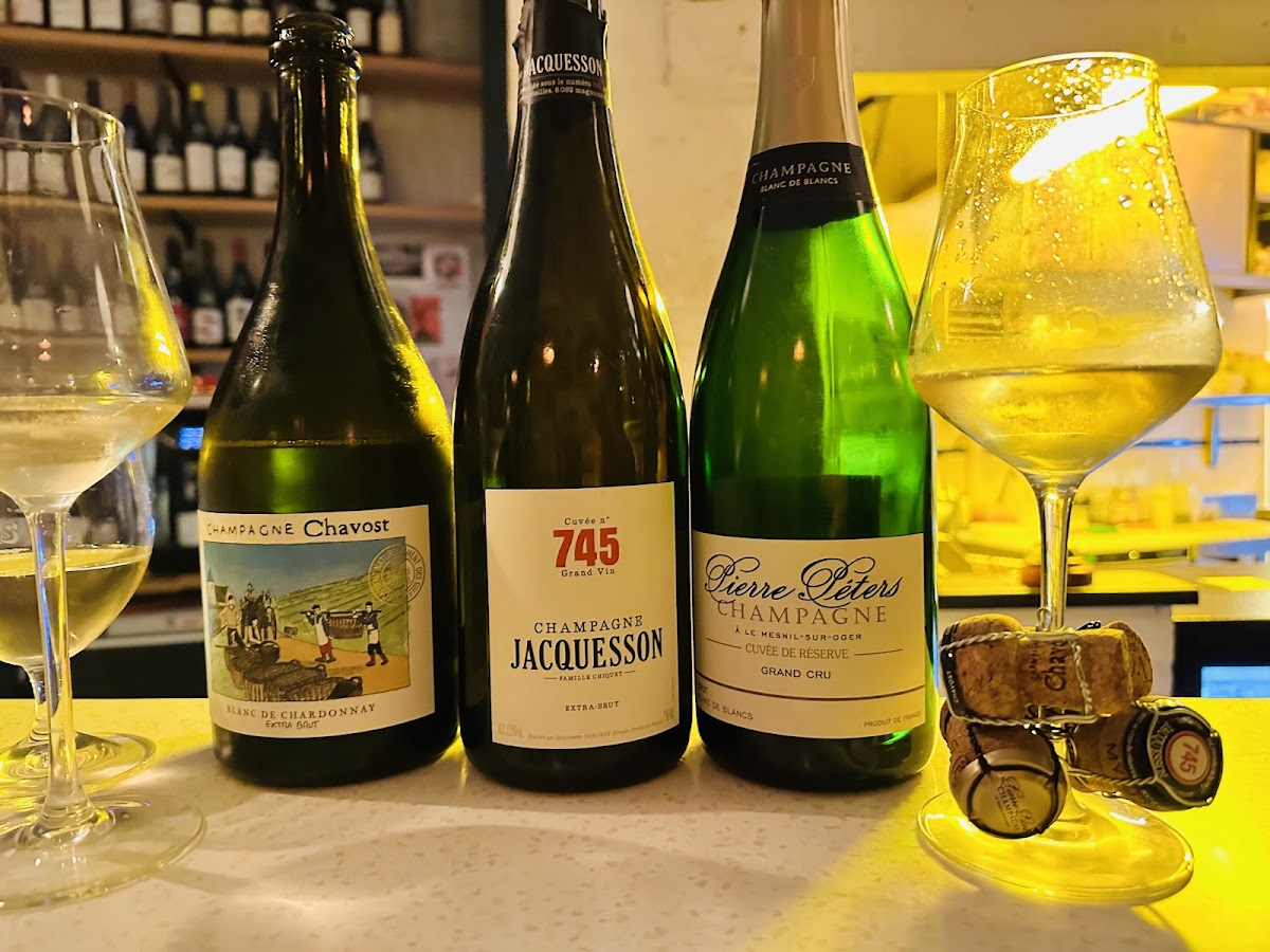 La méduse - Photo 9