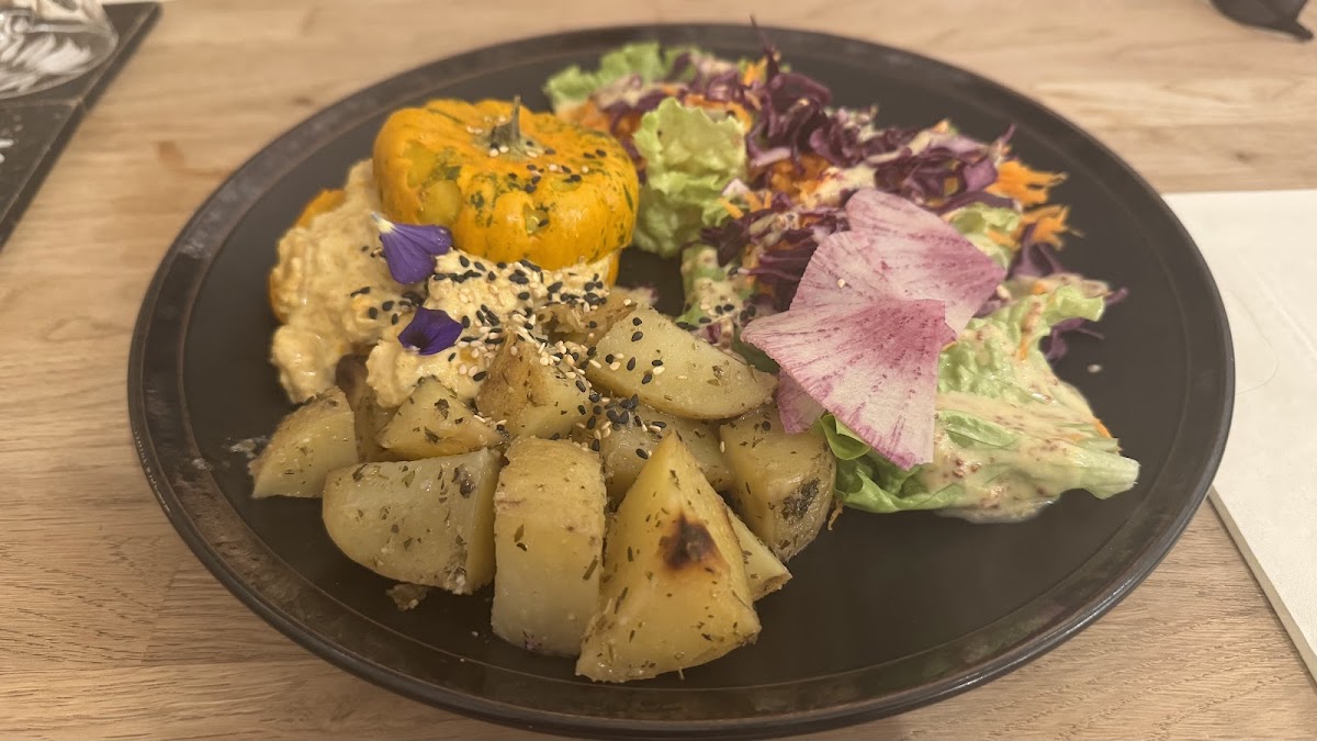 La plume végétale - Photo 5