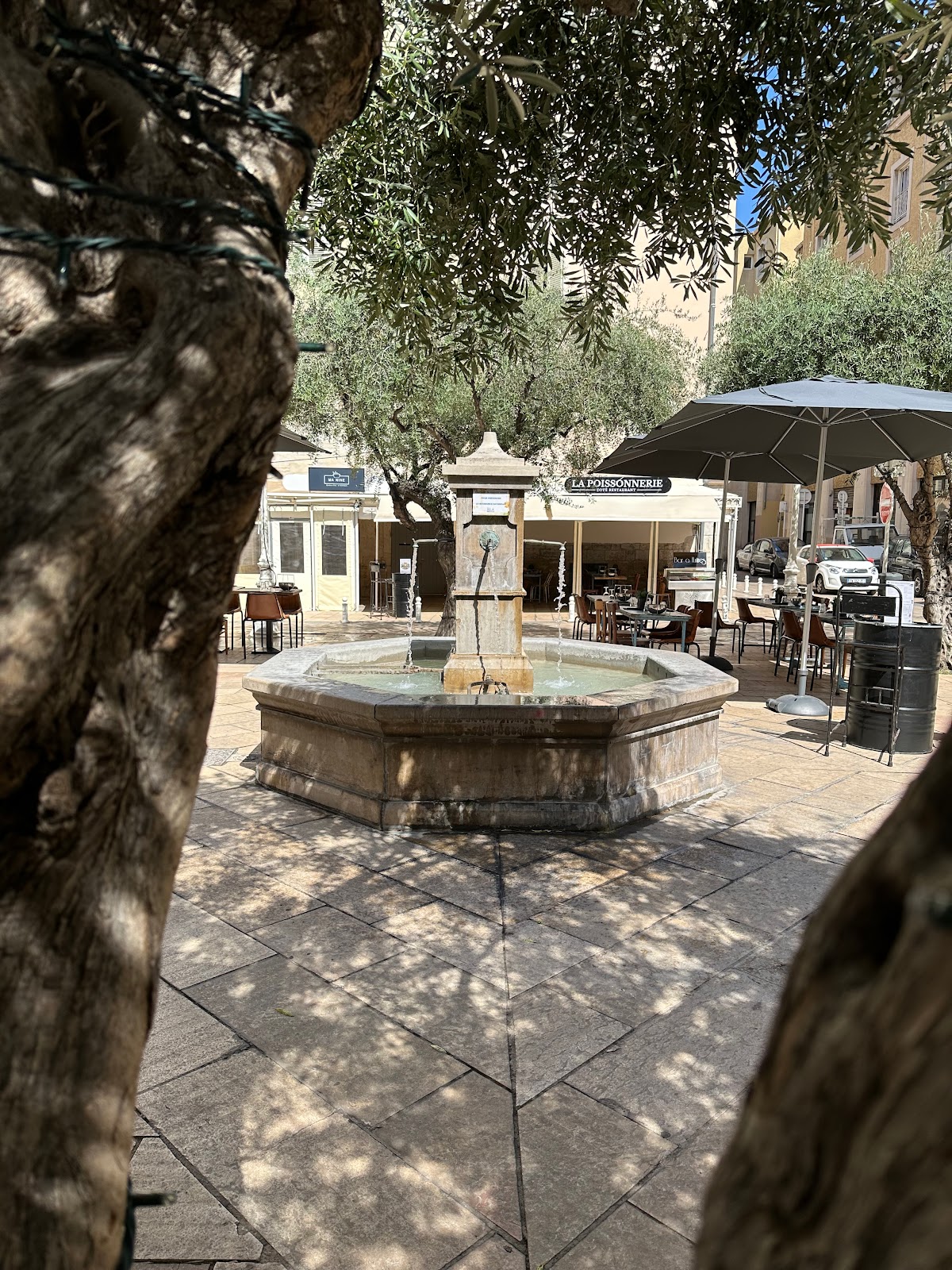 La POISSONNERIE Côté Restaurant - Photo 5