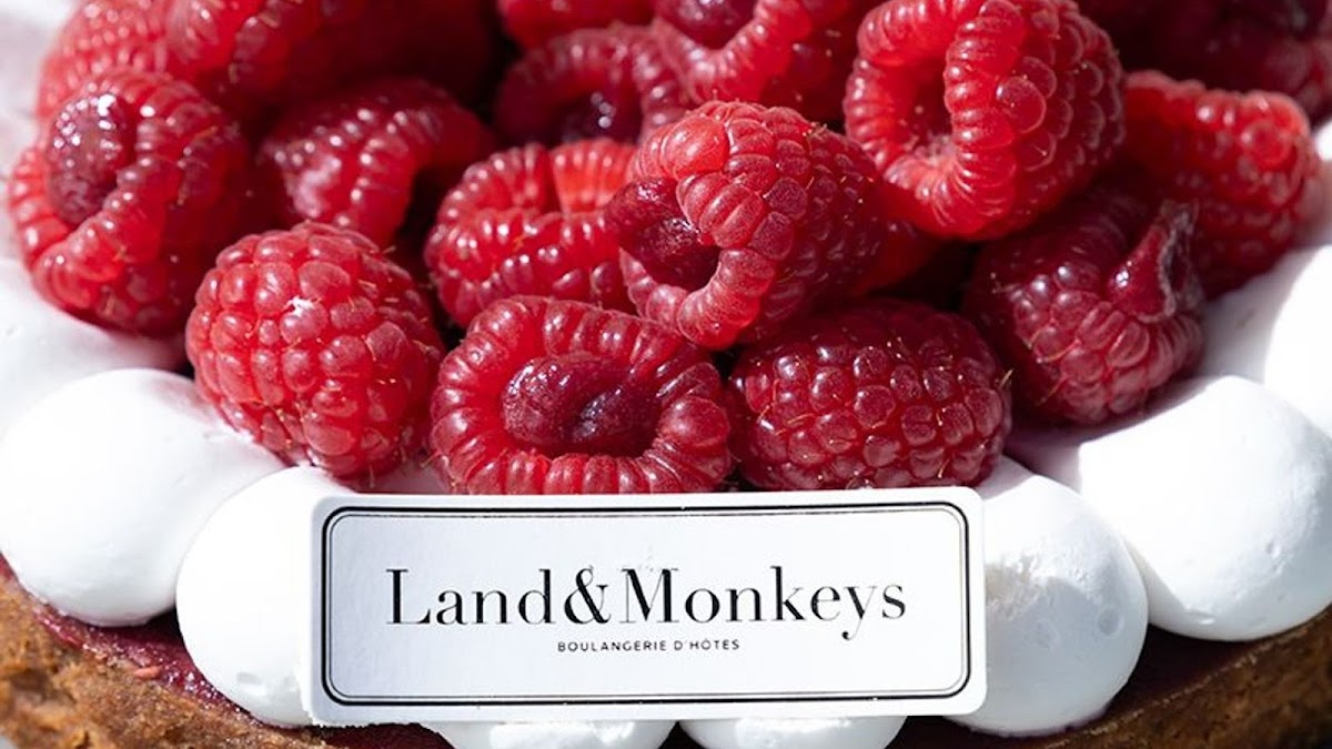 Land&Monkeys Aix-en-Provence - Photo 2