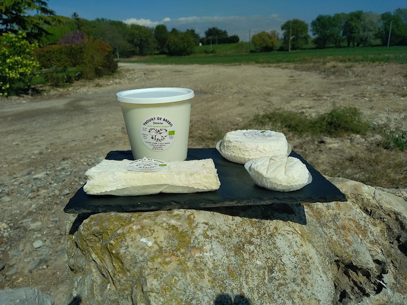 Laurent fromages - Photo 6