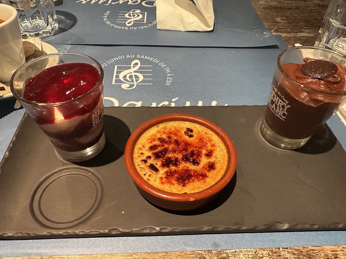 Le Darius - Photo 10