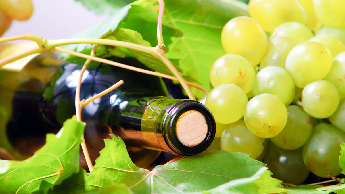 LE DOMAINE DES TERROIRS - Photo 4