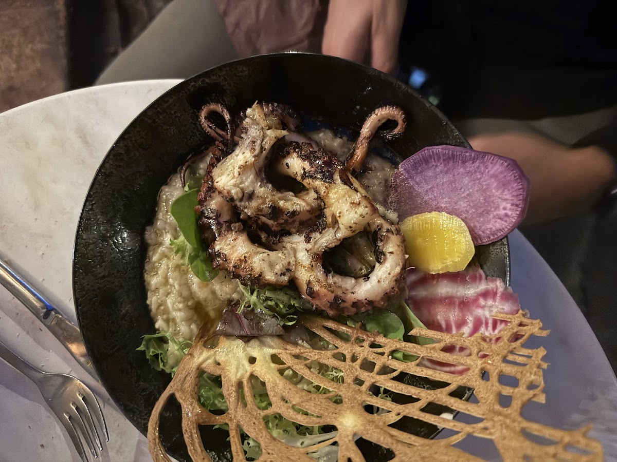 Le Petit Verdot - Photo 4