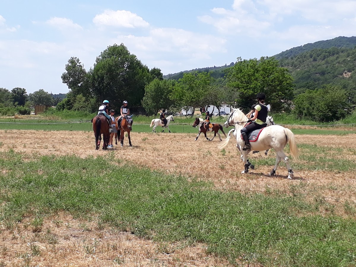 Maison de Produits du Pays Dignois - Photo 6