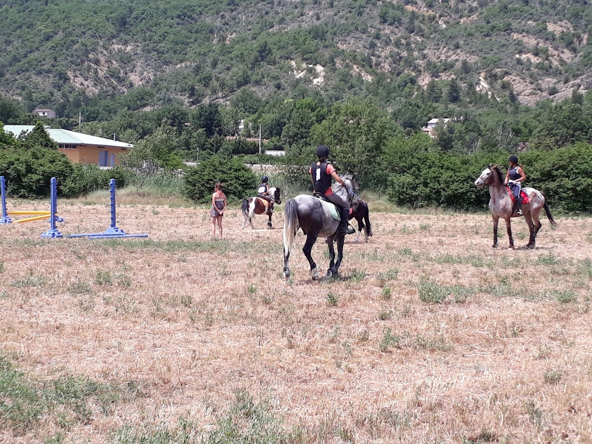 Maison de Produits du Pays Dignois - Photo 9