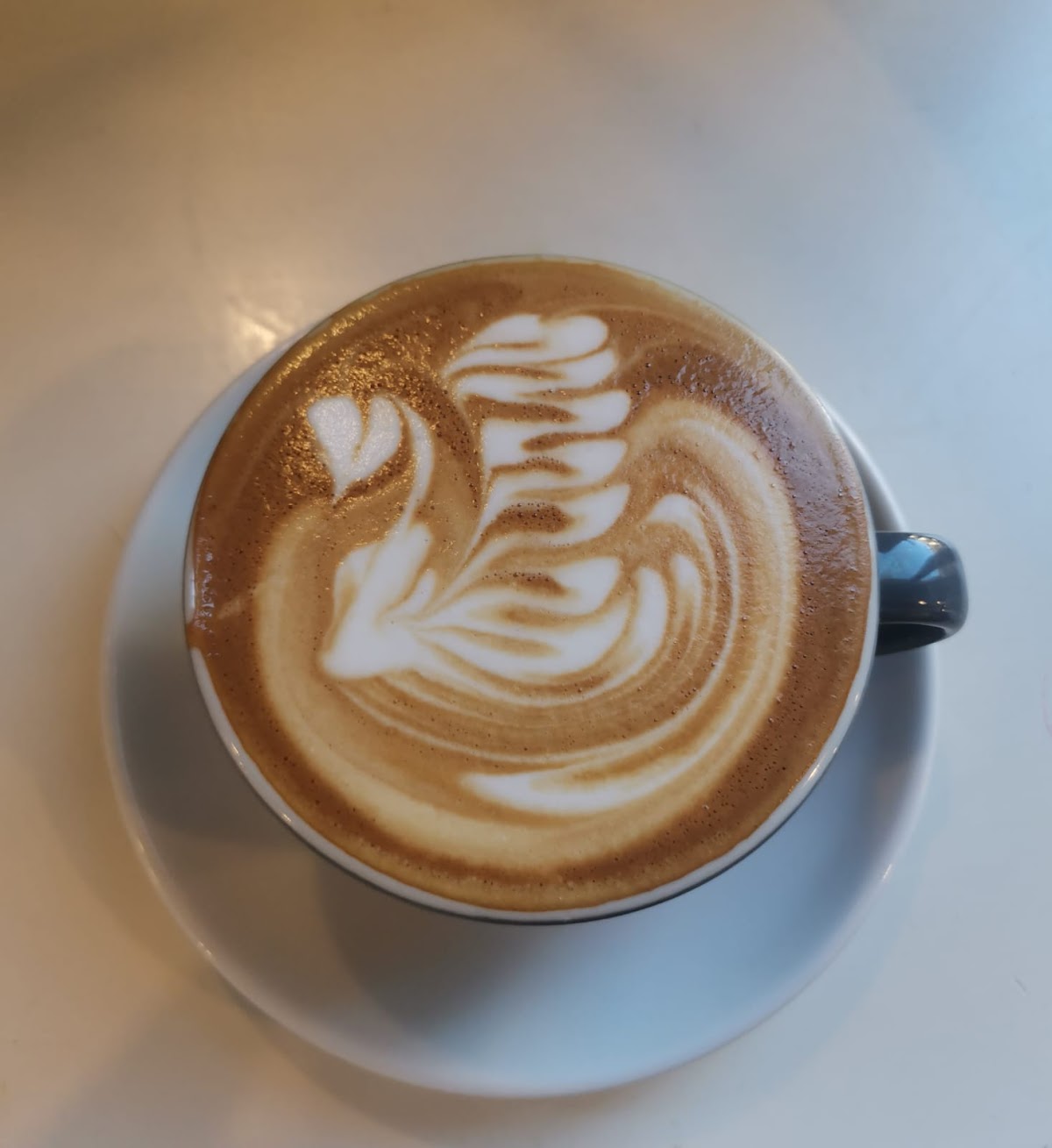 Maison Nosh - Aix en Provence - Photo 6