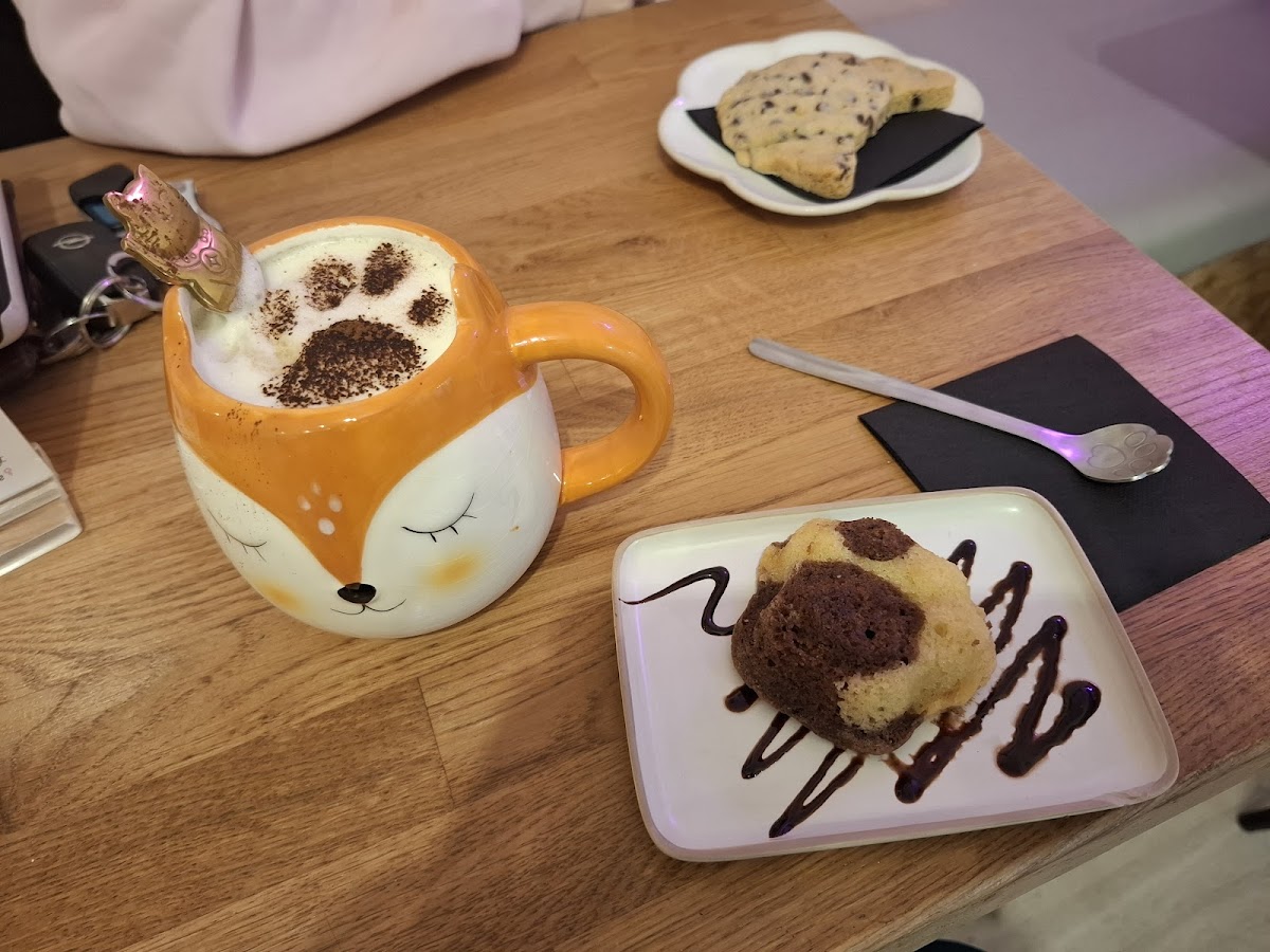 Meow Cats Café - Cats & Coffee (+10 ans uniquement) - Photo 3