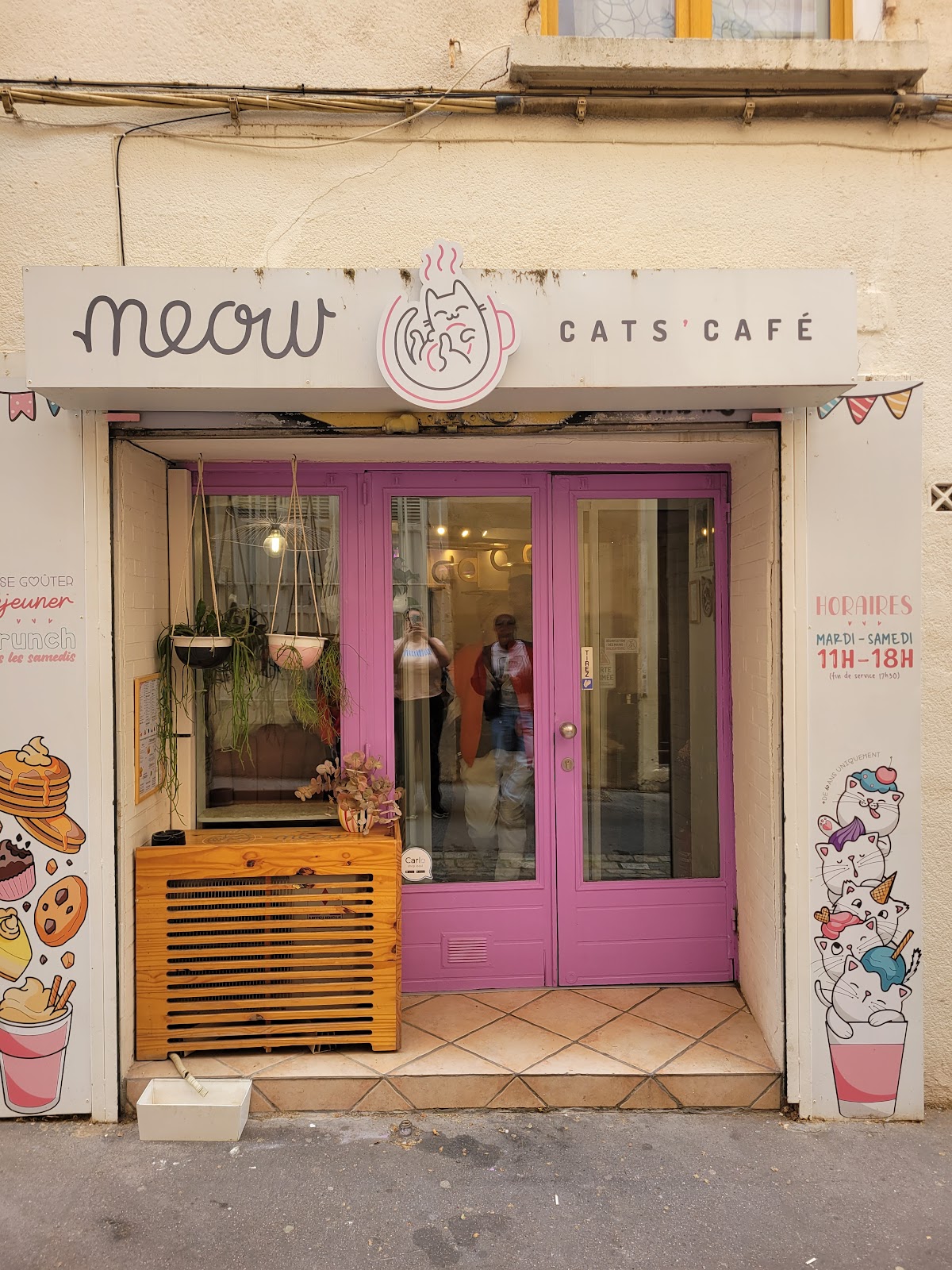 Meow Cats Café - Cats & Coffee (+10 ans uniquement) - Photo 6