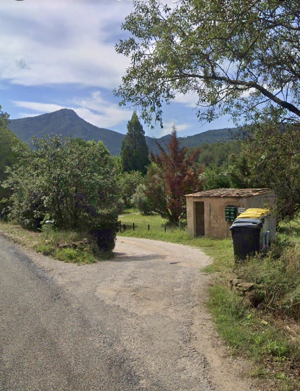 PAELLA RÉCEPTION - Photo 2