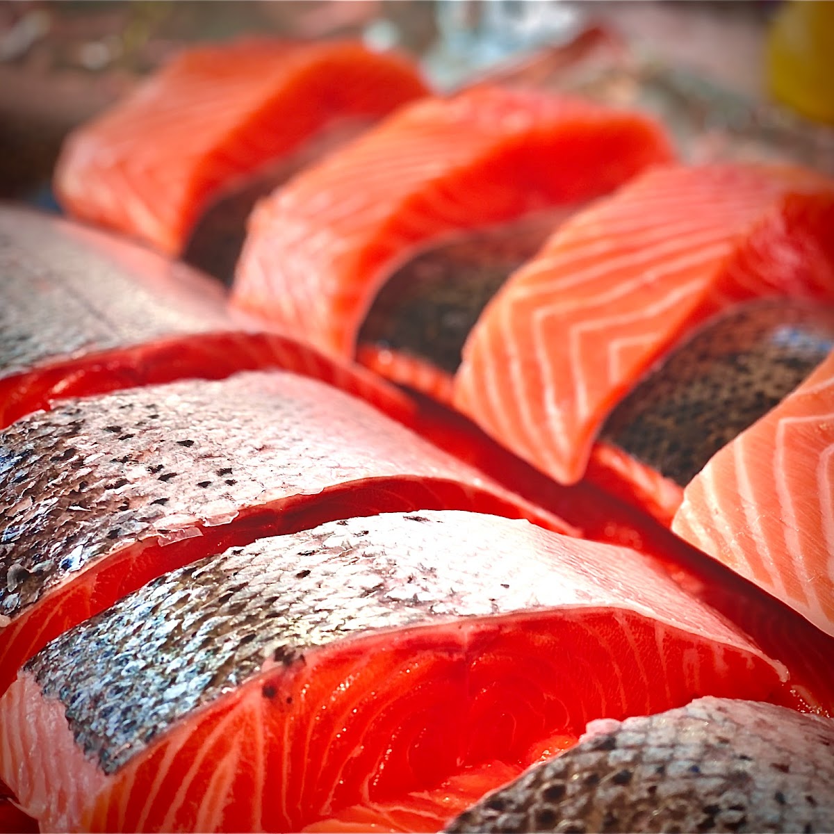 Poissonnerie - Photo 5