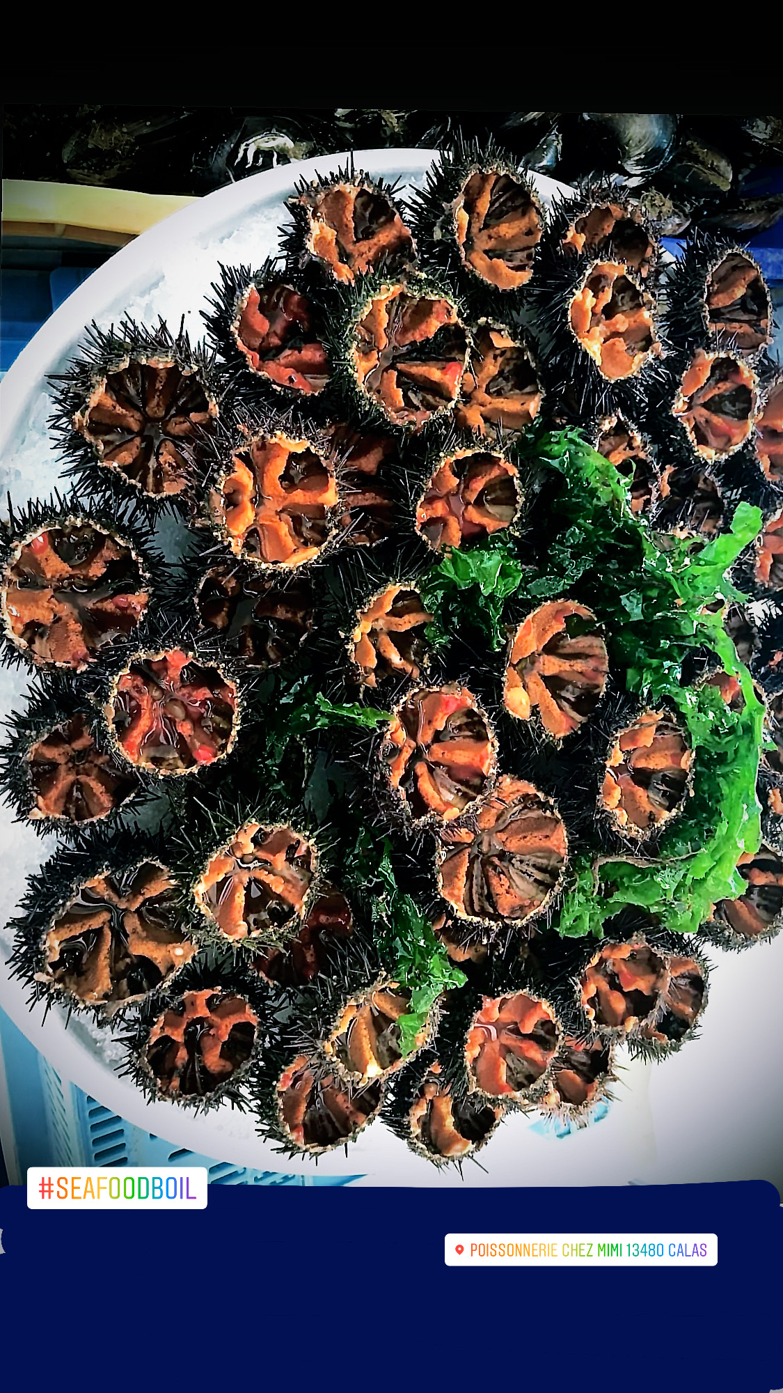 Poissonnerie - Photo 8