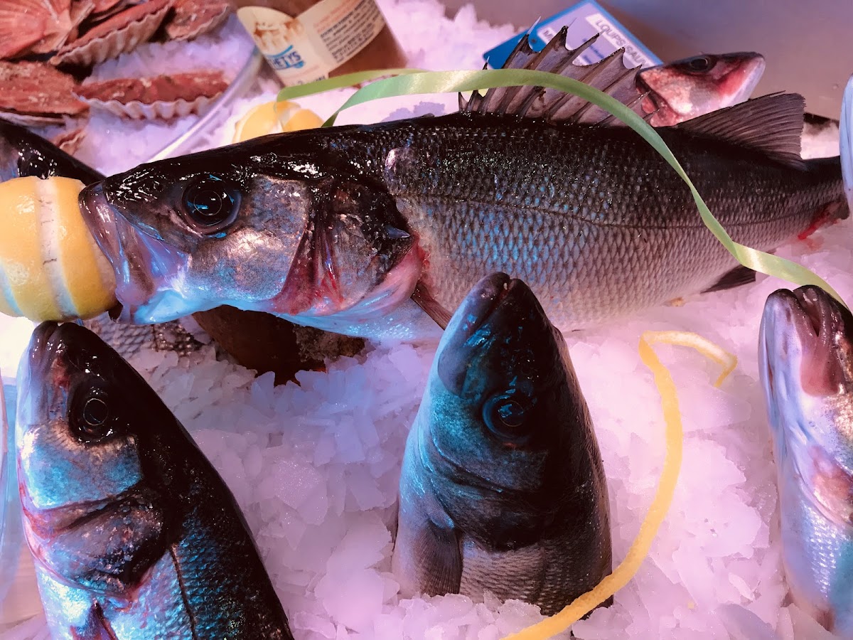 Poissonnerie - Photo 9