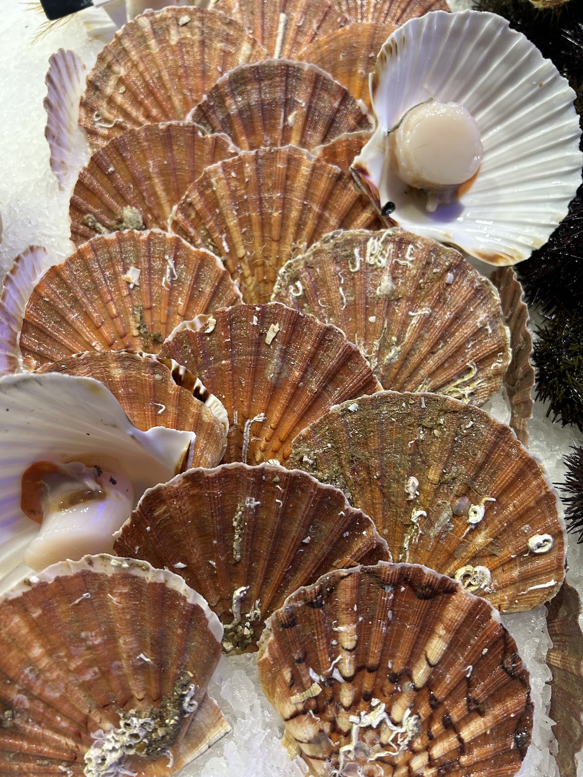 Poissonnerie Le Kalypso - Photo 9